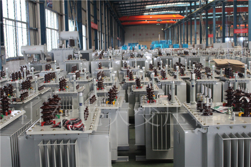南沙S22-800KVA/10KV