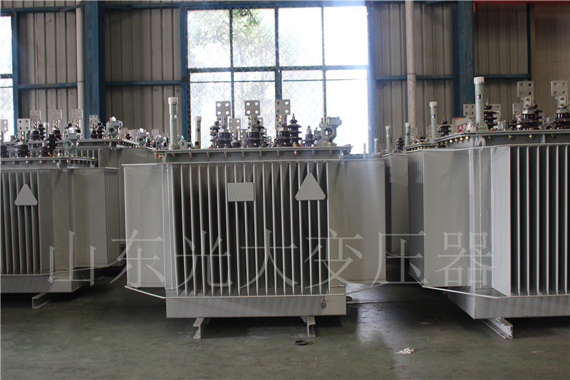 南沙S20-500KVA/10KV